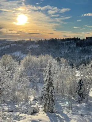 a winter scene with snow covered trees and the sun at Holiday Cabin with Hot Tub and Billiard Table in Tyndrom