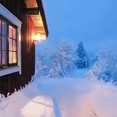 Trysilfjellet Nord 637