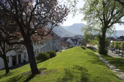 a green hill with trees and houses on it at Historic Bergen house, right in the middle of everything! in Bergen