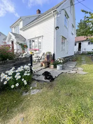a dog laying in the grass in front of a house at Historic Villa By The Sea In Solund in Hardbakke