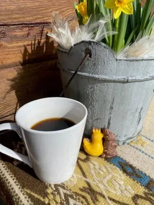 a cup of coffee next to a pot of flowers at Cabin In Rauland Near Fishing, Hiking And Skiing in Rauland