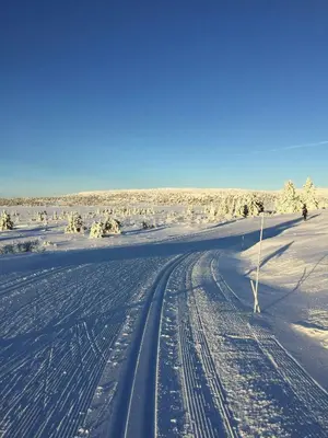 a snow covered road with tire tracks in the snow at Idyllic Log Cabin At Nordseter in Lillehammer
