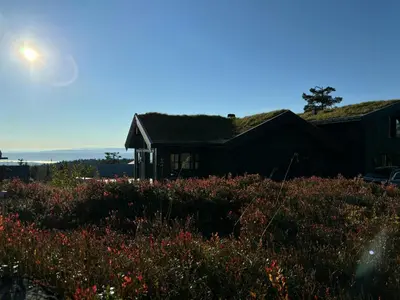 a house with a field of flowers in front of it at Architect Mountain Cabin At Lygna With Views in Jaren
