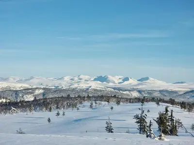 a snowy field with trees and snow covered mountains at Modern Cabin With Panoramic View On Bringsfjellet in Lalm