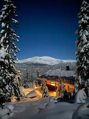 a cabin in the snow at night with snow covered trees at Architectural Gem Near Cross Country Trails in Eggedal