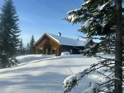 a house covered in snow with trees in front of it at Fantastic Forest Cabin With Panoramic View in Jaren