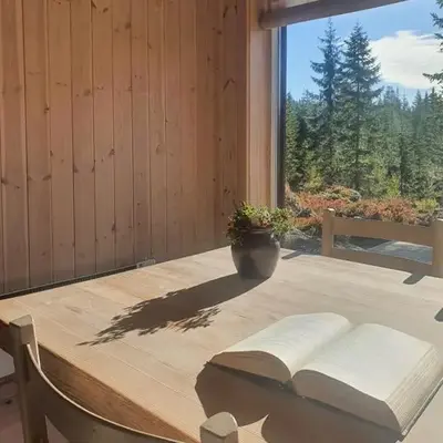 Fantastic Forest Cabin With Panoramic View