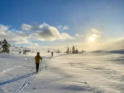 a person is cross country skiing in the snow at Cabin With Award-Winning Design On Norefjell in Eggedal