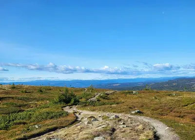 a winding path on a grassy hill with a blue sky at Sunny Cabin With Panoramic Views At Sjusjøen in Sjusjøen