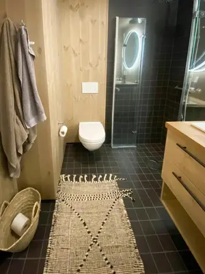 a bathroom with a shower and a toilet and a rug at Stay At Norefjell, Ski-Inout And Panorama in Noresund