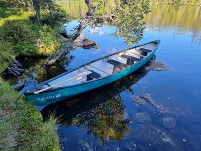 a blue boat sitting on the water next to a tree at Mountain Cabin With Stunning Views, Sauna & Lake in Eggedal