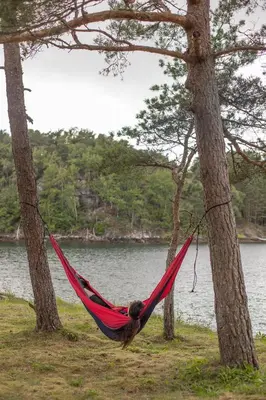 a person sleeping in a hammock between two trees at Kulleseidkanalen gjestehamn in Bømlo