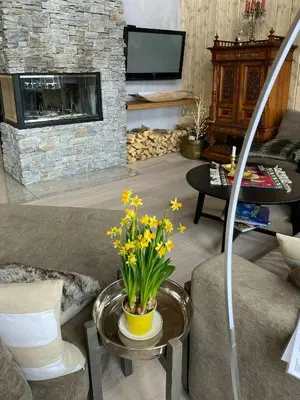 a living room with a couch and a fireplace at Mountain Cabin With Sauna, Jacuzzi And Views in Nord Torpa