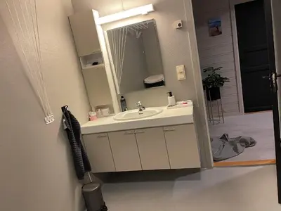 a bathroom with a sink and a mirror at Utsikten in Trondheim