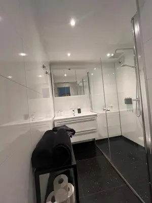 a bathroom with a shower and a sink and a mirror at Apartment by Torgalmenningen in Bergen