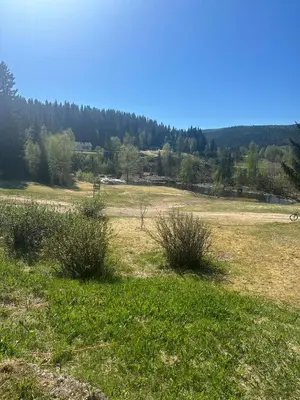 a field of grass with trees in the background at Turifoss Camping Tent pitch in Svedjan