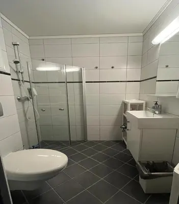 a bathroom with a shower and a toilet and a sink at Leilighet på Oppheim, Voss in Vossevangen