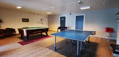 a ping pong table in a room with a pool table at Leilighet på Oppheim, Voss in Vossevangen