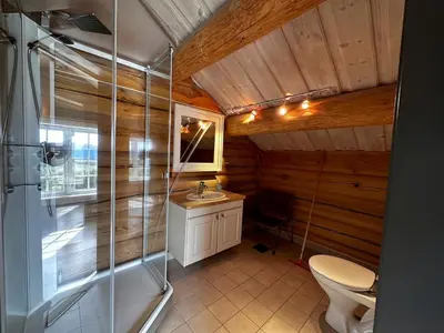 a bathroom with a shower and a toilet and a sink at Bjørndalenhytta in Beitostøl
