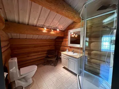 a bathroom with a toilet and a shower and a sink at Bjørndalenhytta in Beitostøl