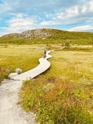a person riding a bike on a boardwalk in a field at Bjørndalenhytta in Beitostøl