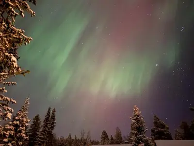 an aurora in the sky with trees and snow at Newly renovated cabin in Nesfjellet, Nesbyen in Nesbyen