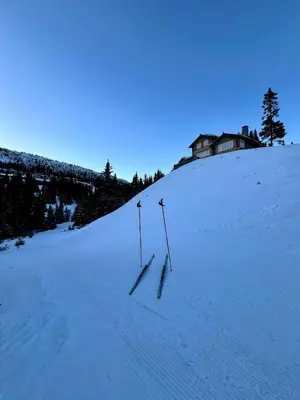 two ski poles in the snow on a slope at Cozy cabin apartment, ski-in ski-out at Kvitfjell in Kvitfjell