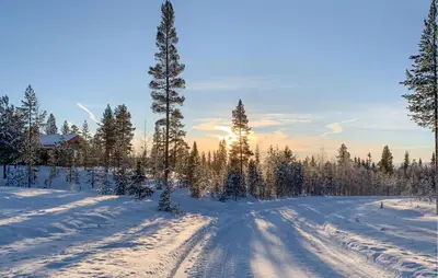 a road in a snow covered field with trees at 3 Bedroom Cozy Home In Rendalen in Rendalen