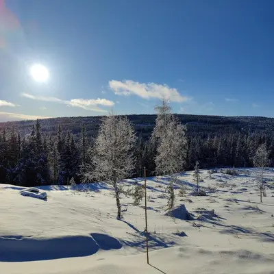 a snow covered field with trees in the distance at Skogbrynet hytte in Svingvoll