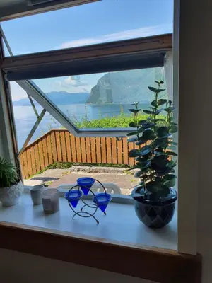 a window with glasses and a potted plant on it at Hardangerfjord panorama 2 in Kvam