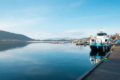 a group of boats docked at a dock in the water at Gildeskaal - A Fairytale Stay in Rosendal in Rosendal