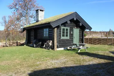 a small cabin with a grass roof and a picnic table at Koselig hytte Gålå Vakre Lauvåsen in Sør-Fron