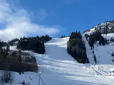 a snow covered slope with trees on a mountain at Actif 318 apartment - close to ski slopes in Ål in Ål