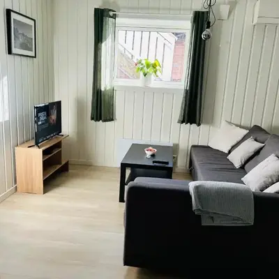 Bright and nice downtown apartment