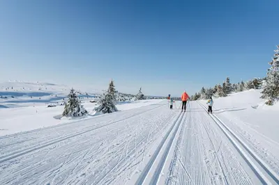 a group of people cross country skiing in the snow at Central apartment - Free parking and Wi-Fi in Lillehammer