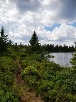 a dirt road next to a body of water at Charming Small Cabin At The Top Of Blefjell in Flesberg