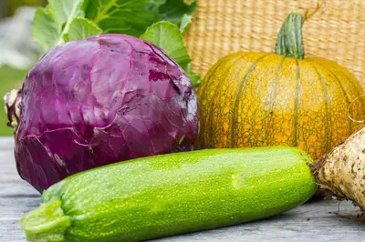 a purple cabbage and a green cucumber and a pumpkin at Peaceful Smallholding With Yoga Studio in Traut