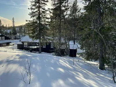 a snow covered yard with a house and trees at Cabin By The Cross-Country Trails In Norefjell in Eggedal