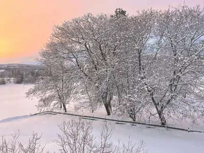 a snow covered field with trees and a sunset at Historic Property In Idyllic Snertingdal in Segard