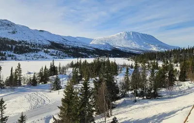 a snowy mountain with trees and a snow covered mountain at Lovely Apartment In Rjukan With Wifi in Rjukan