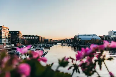 a marina with boats in the water and pink flowers at Modern, big and central apartment in Trondheim in Trondheim