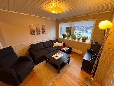 a living room with a couch and a table at 2 roms kjellerleilighet med separat soverom in Luster