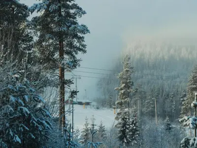 a snow covered slope with trees and a ski lift at Trysil turistesenter liten leilighet in Trysil