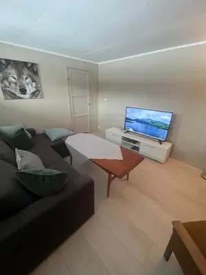 a living room with a black couch and a tv at Sokkelleilighet i enebolig in Sula