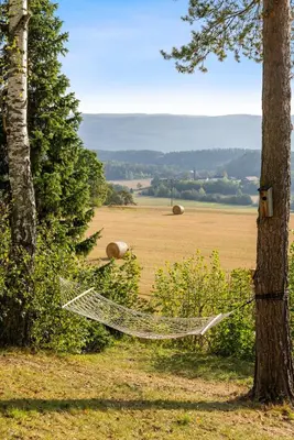 a hammock in a field next to a tree at Ringåsen in Berg