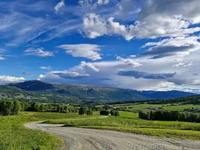 a dirt road in the middle of a green field at Haugen Gård in Oppdal
