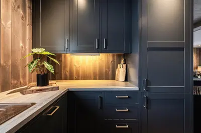 a kitchen with blue cabinets and a potted plant at Harmony in Geilo, modern and cozy cabin with jacuzzi in Geilo