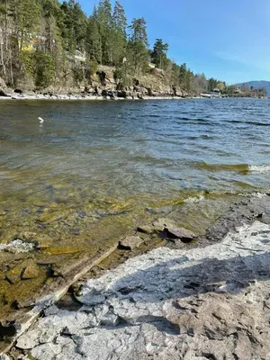 a log laying in the water on a beach at Family Cabin With Panoramic Views Of Tyrifjorden in Nes
