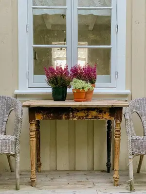 two plants on a table in front of a window at Peaceful Log Cabin By The Fjord On Ytterøy in Ytteroy