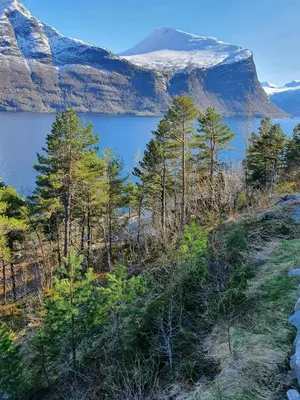 a view of a lake with a mountain in the background at Fjord Cabin With Panoramic Views In Rauma in Innfjorden